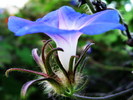 photo thumbnail #14