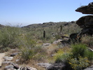photo thumbnail #4