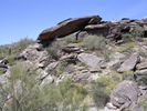 photo thumbnail #5