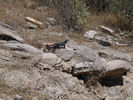 photo thumbnail #6