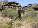 photo thumbnail #7