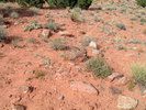 photo thumbnail #10