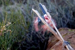 photo thumbnail #3