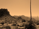 photo thumbnail #9