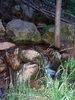 photo thumbnail #7