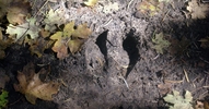 photo thumbnail #14