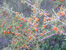 photo thumbnail #8