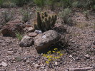 photo thumbnail #5