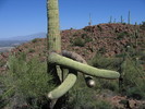 photo thumbnail #11