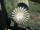 photo thumbnail #12