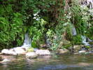 photo thumbnail #9
