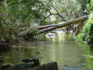 photo thumbnail #10