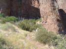 photo thumbnail #3