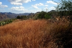 photo thumbnail #11