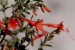 photo thumbnail #15