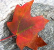 photo thumbnail #15
