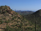 photo thumbnail #5