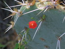 photo thumbnail #13
