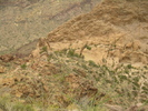 recent photo