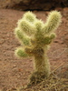 photo thumbnail #7