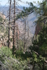 photo thumbnail #12