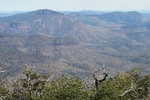 photo thumbnail #14