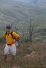 photo of comment