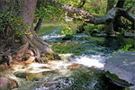 photo thumbnail #8