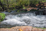 photo of comment