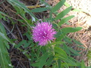 photo thumbnail #8
