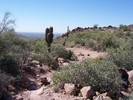 photo thumbnail #5