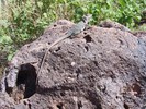 photo thumbnail #14