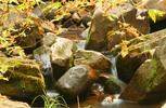 photo thumbnail #8