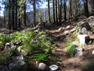 photo thumbnail #7