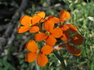 photo thumbnail #11