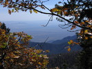 photo thumbnail #12