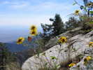photo thumbnail #14