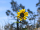 photo thumbnail #15