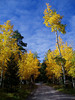 photo thumbnail #9