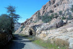 photo thumbnail #5