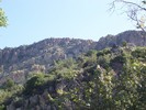 recent photo
