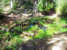 photo thumbnail #6