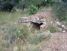 photo thumbnail #3