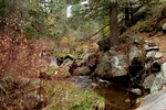 photo thumbnail #2