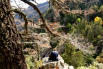 photo thumbnail #9