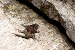 photo thumbnail #13