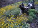 photo thumbnail #6
