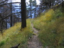 photo thumbnail #11