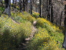 photo thumbnail #12