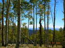 photo thumbnail #2